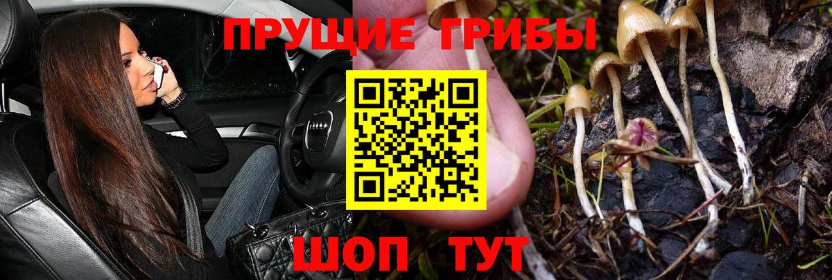 Ивантеевка  Псилоцибиновые грибы GOLDEN TEACHER  Вход с VPN 